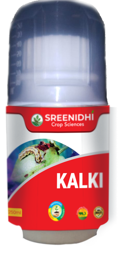 Kalki 100ml